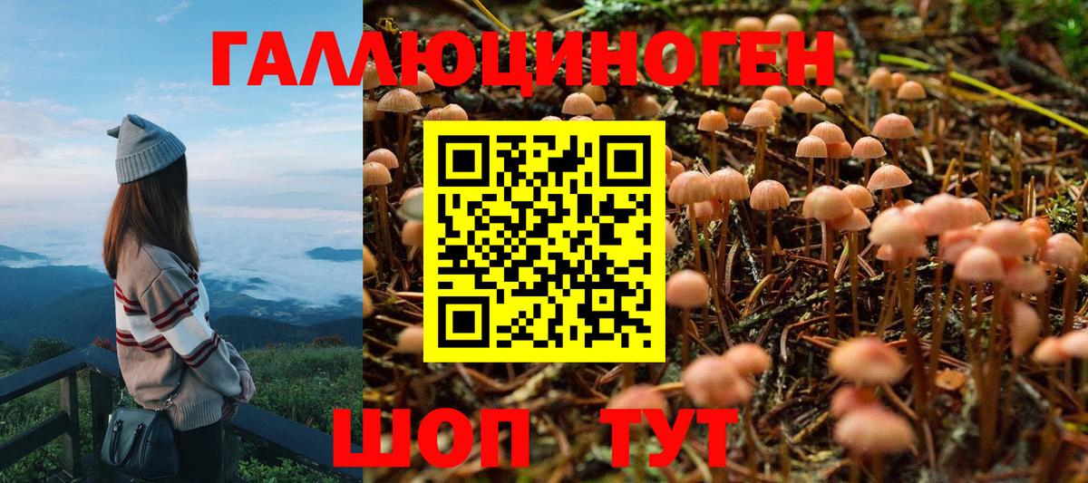 Галлюциногенные грибы Magic Shrooms  Вход с VPN  Псилоцибиновые грибы MAGIC MUSHROOMS  как найти закладки  Дубна 